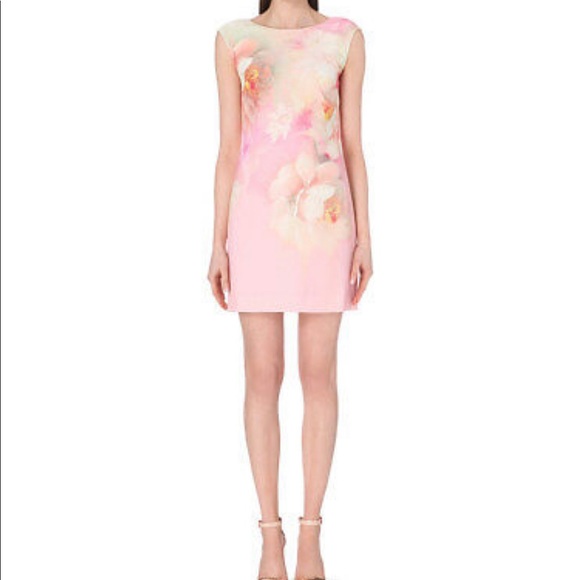 Ted Baker Dresses & Skirts - TED BAKER Damona Rose On Canvas Dress TED 3 US 6-8